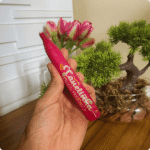 Canetinha Comestivel Efeito Eletrizante - Chiclete 25g