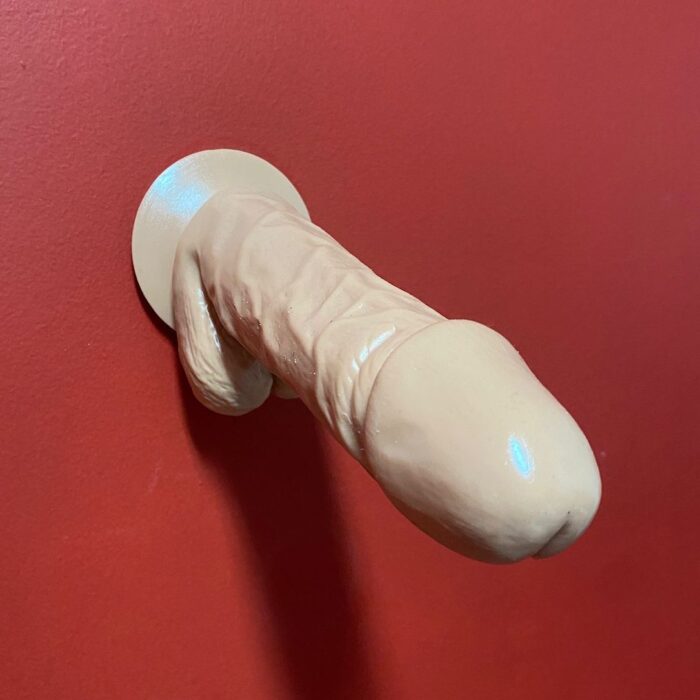 pênis prótese realística 20 x 5 com escroto e ventosa